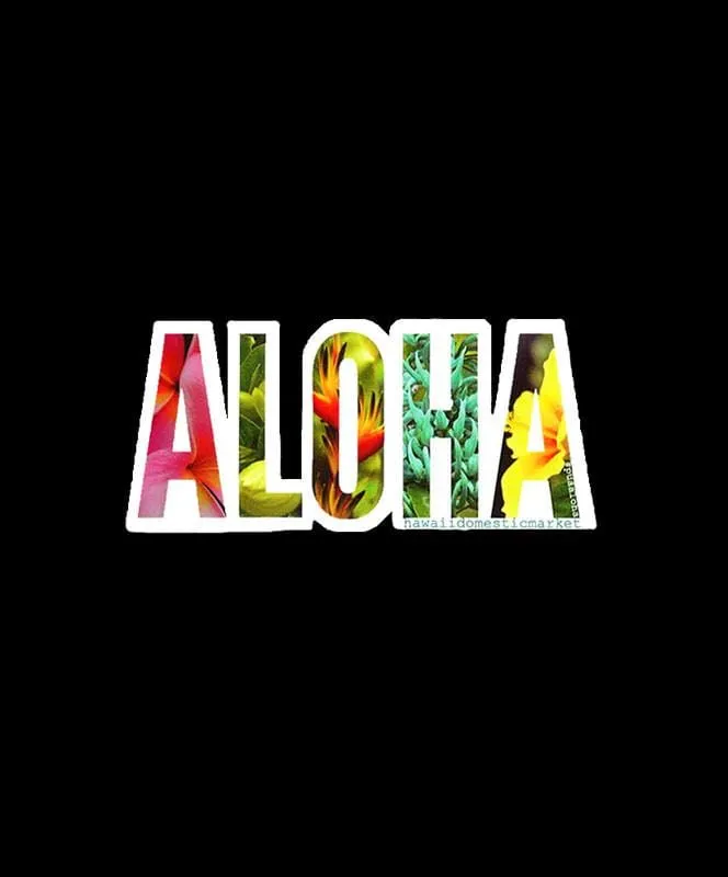 Hawaii Domestic Market - 6 HDM Aloha V2 Sticker