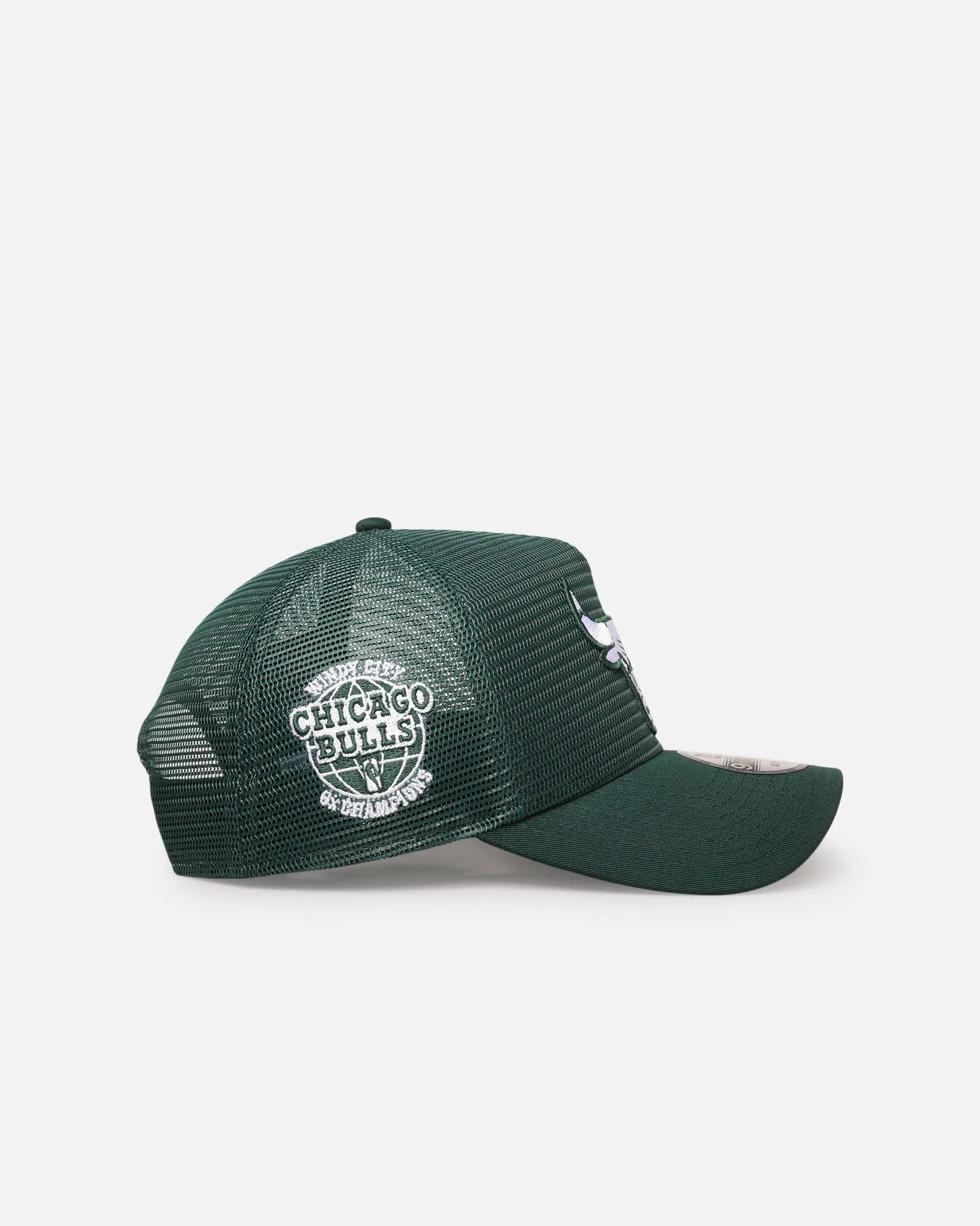 New Era Chicago Bulls 'Polychromatic Mesh' 9FORTY A-Frame Snapback Dark Green