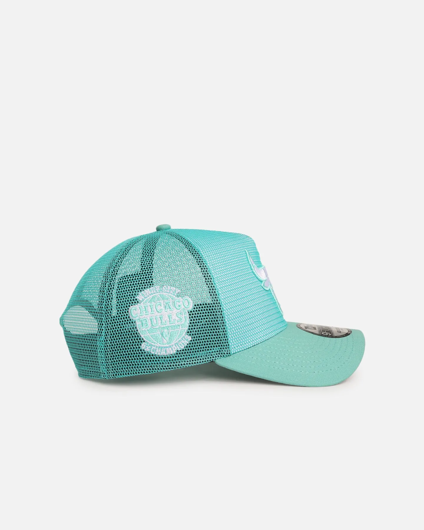 New Era Chicago Bulls 'Polychromatic Mesh' 9FORTY A-Frame Snapback Mint